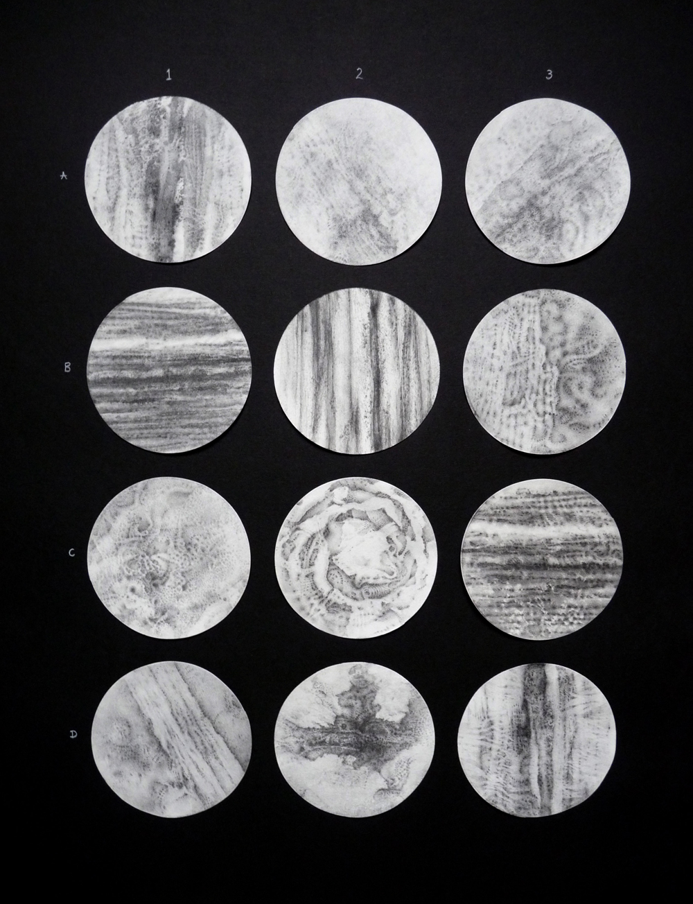 an assemblage of 12 circular images on a black background
