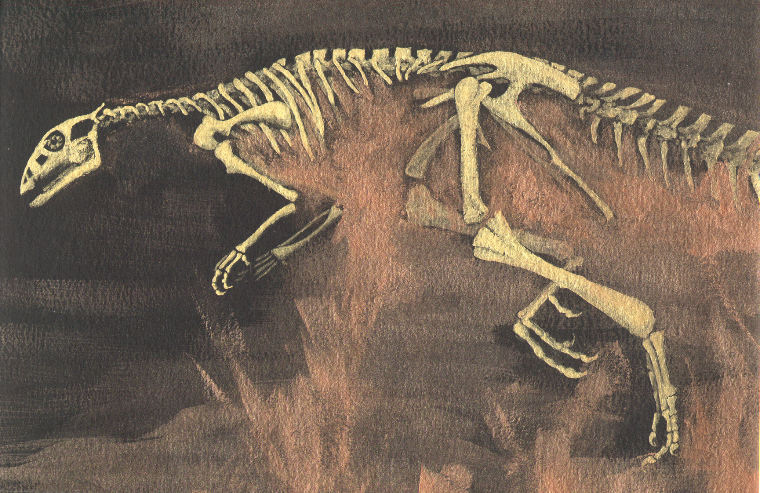 a painting of a skeleton of a hypsilophodon in copper coloured paint on a black background