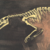 section of a black and copper coloured painting linking to a larger version of a painting about extinction