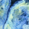 section of blue painting linking a series of artworks based on biological science