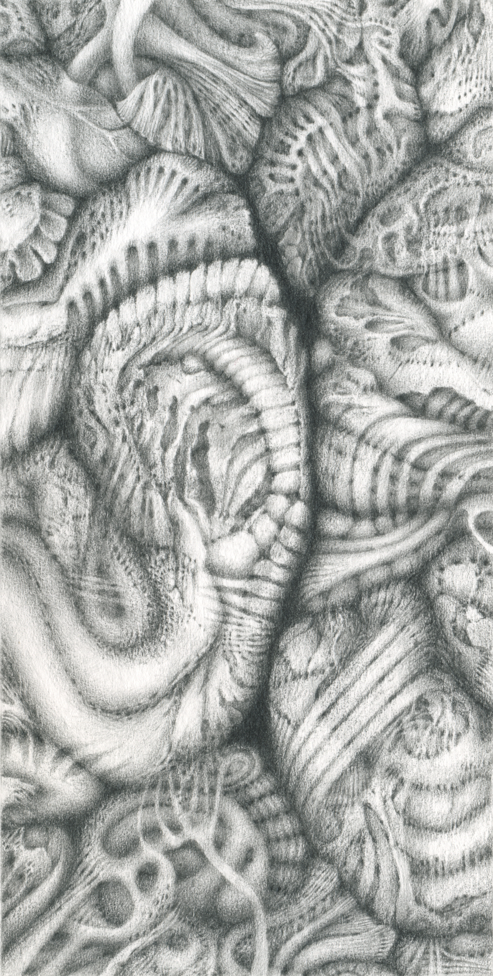 a pencil drawing with strange forms