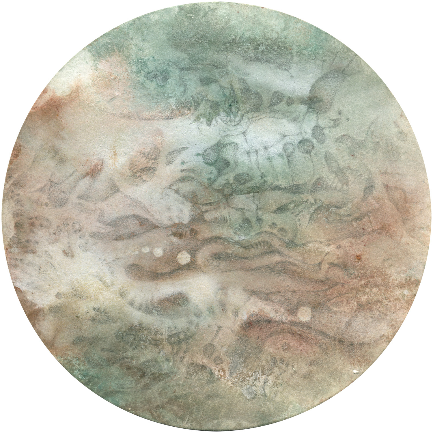 a laboratory filter paper painted with gouache with details in silverpoint