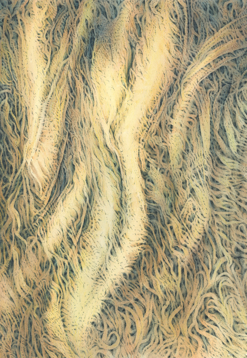 a brown watercolour painting of a neurofibrillary tangle with ink details